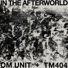 Om Unit + TM404 | In The Afterworld