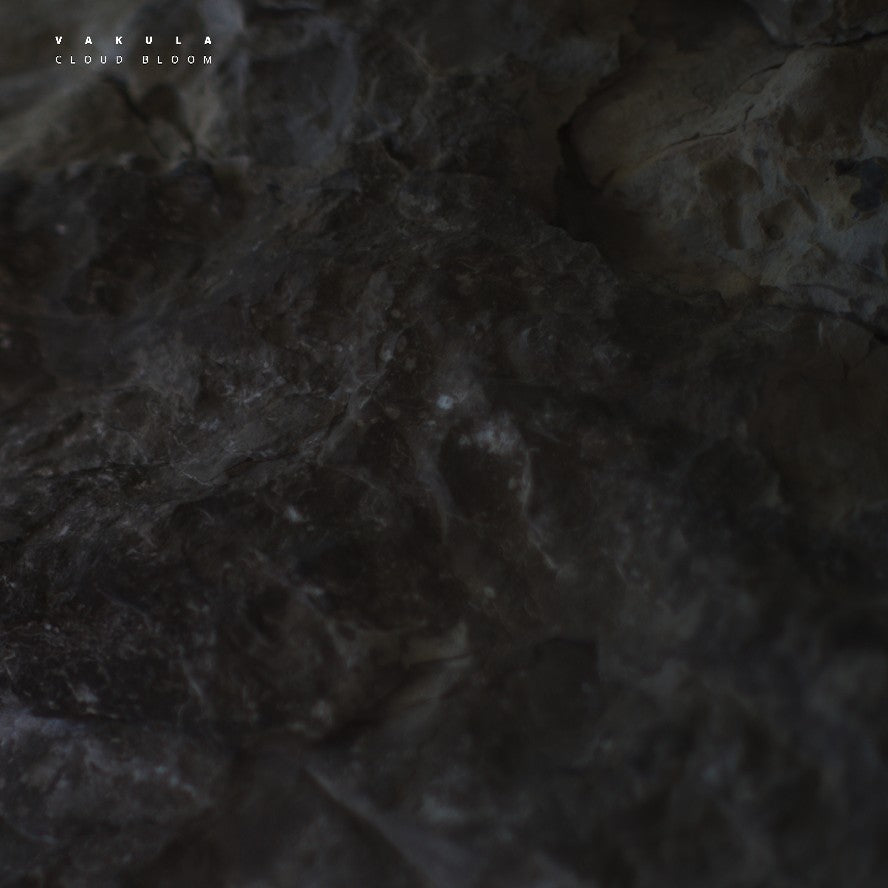 Vakula | Cloud Bloom