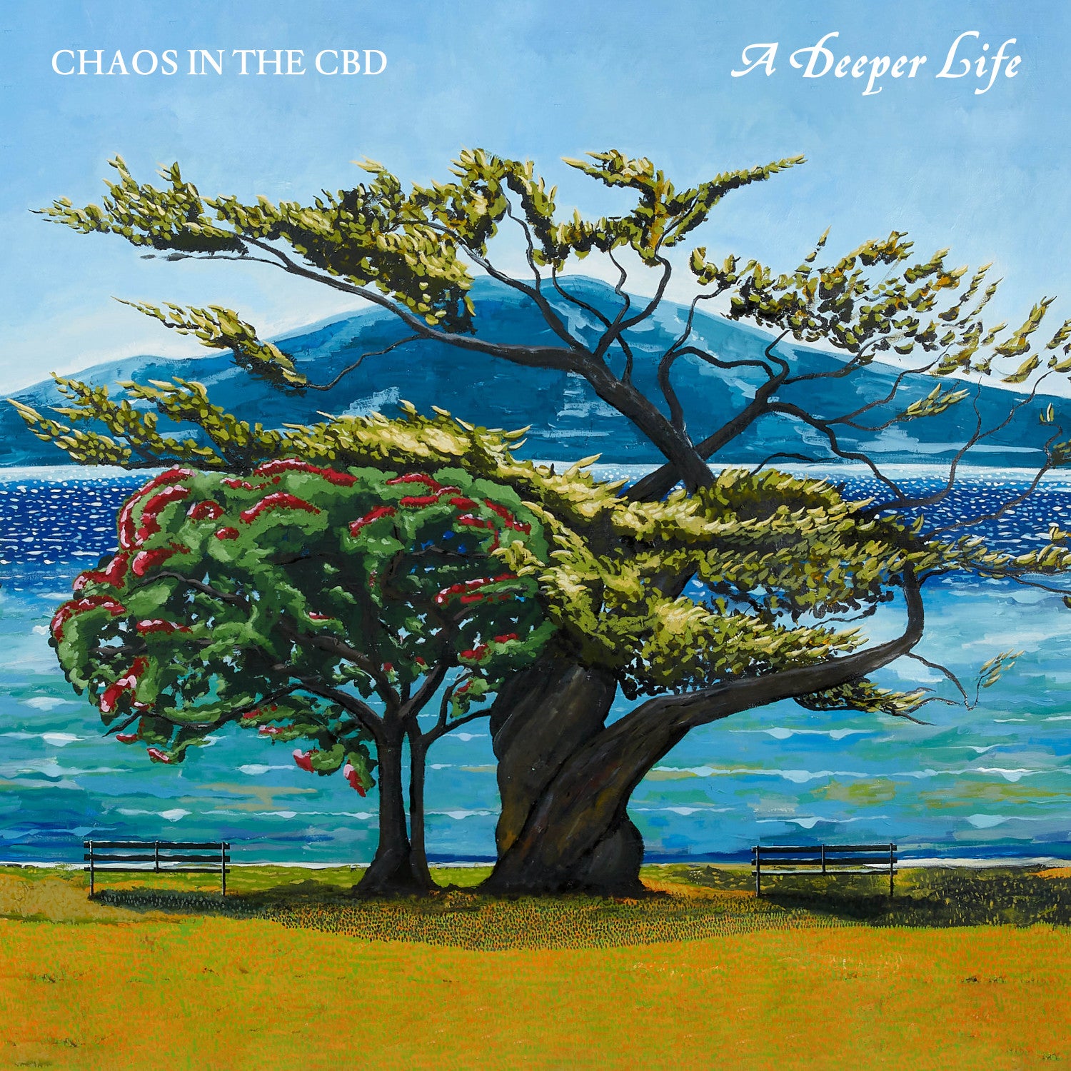 Chaos In The CBD | A Deeper Life