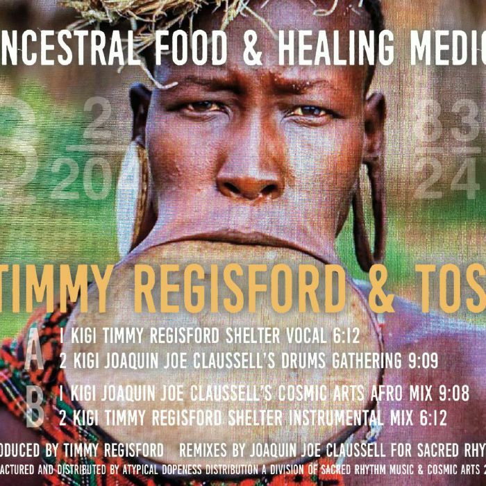 Timmy Regisford / Toshio Tikolo | Ancestral Food & Healing Medicine Vol 2