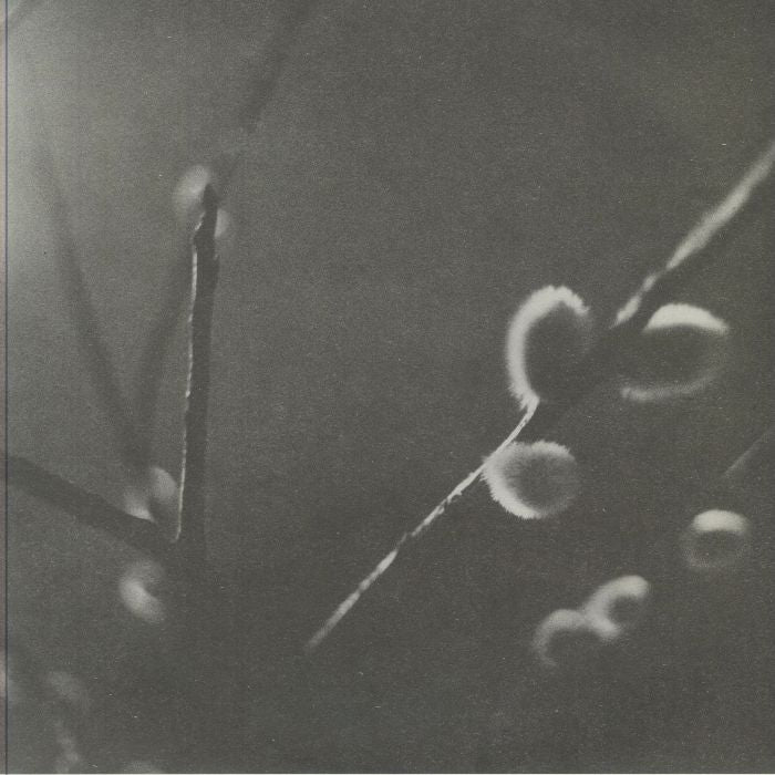 Unknown Artist | KNWN6.5