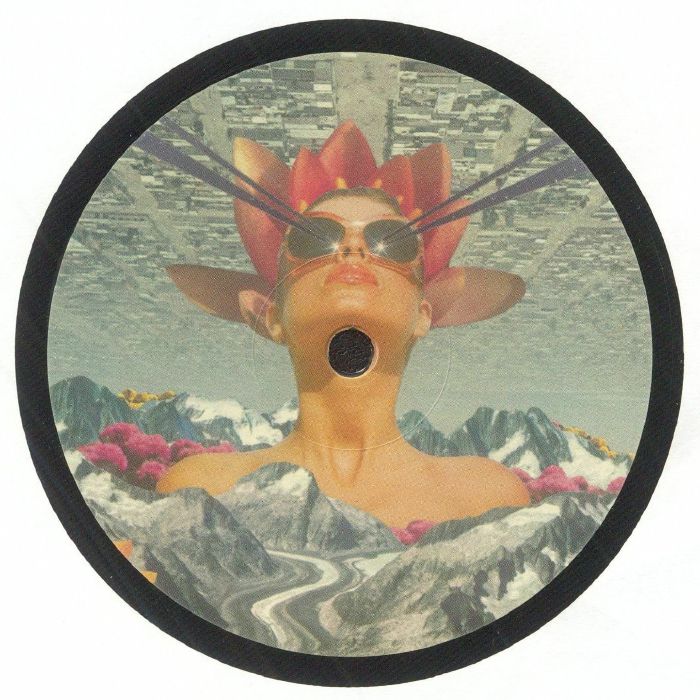 Adam Collins | MSR002