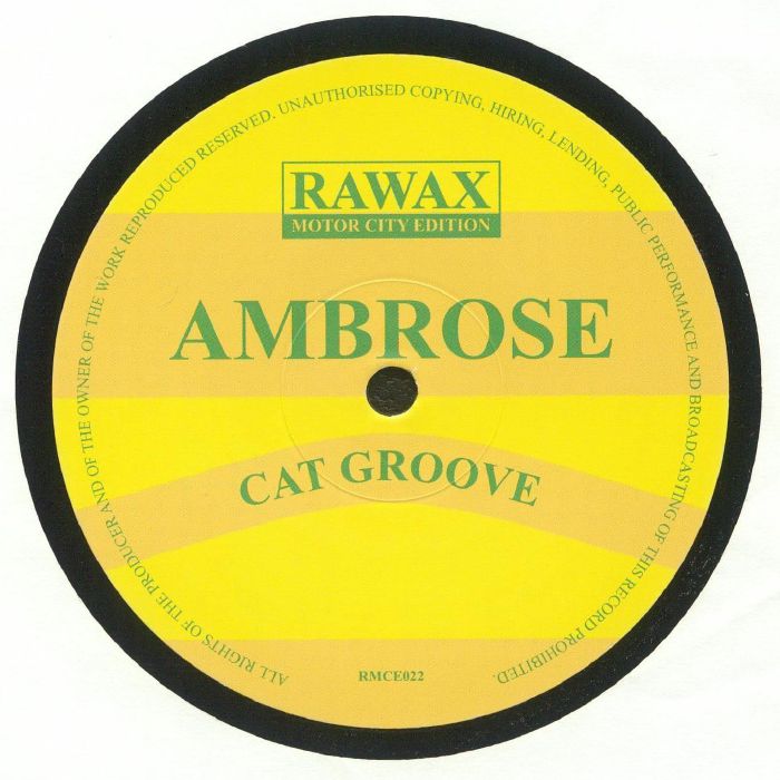 AMBROSE | Cat Groove