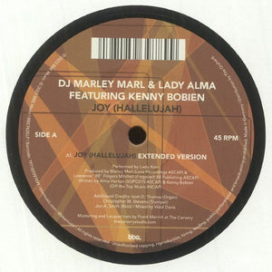 You added <b><u>DJ Marley Marl  & Lady Alma Feat Kenny Bobien | Joy (Hallelujah)</u></b> to your cart.