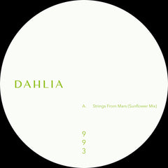 S.A.M. | Dahlia 993 - Expected Friday