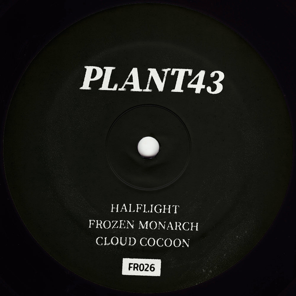 Plant43 | Frozen Monarch