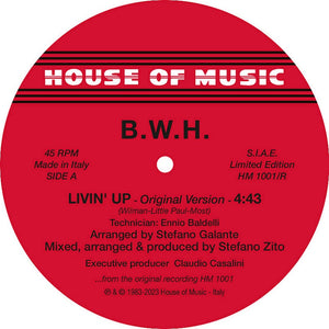 You added <b><u>B.W.H. | Livin' Up / Stop (Grey Vinyl)</u></b> to your cart.