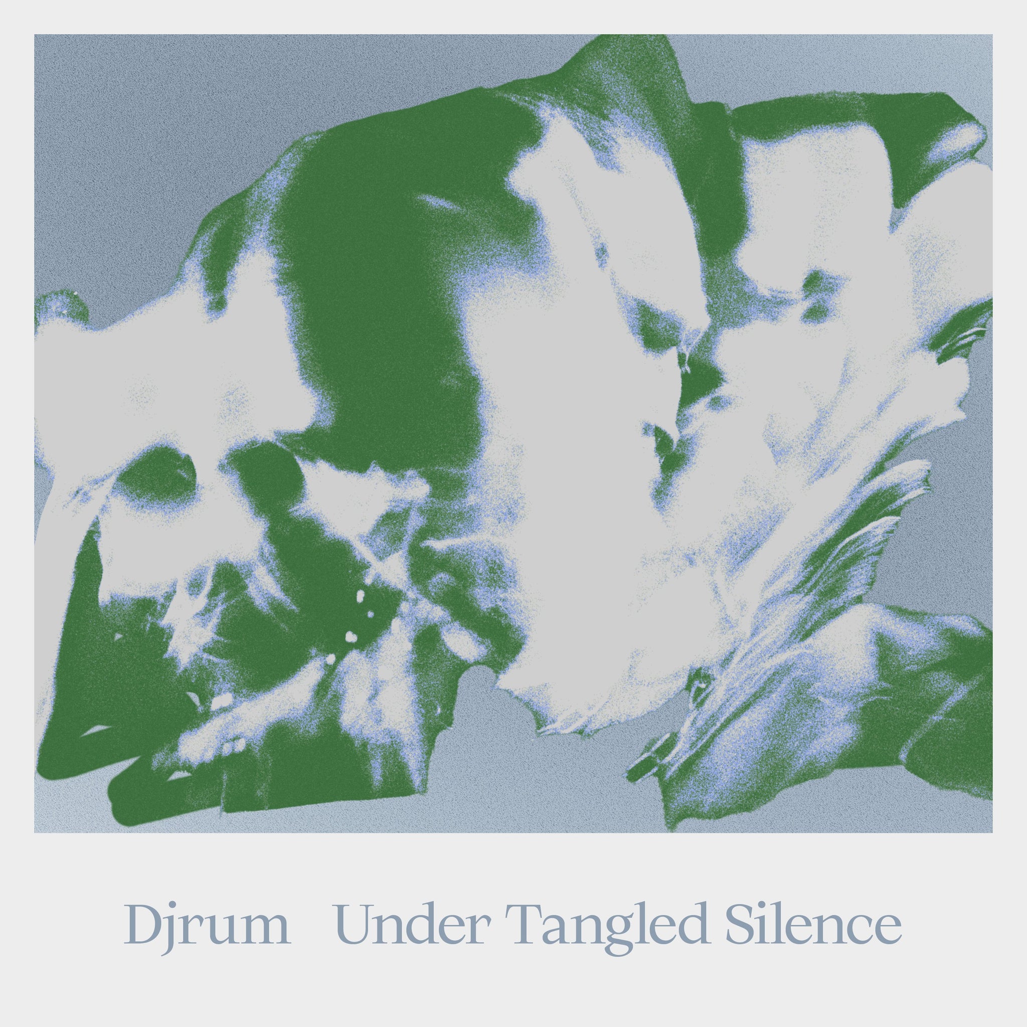 Djrum | Under Tangled Silence