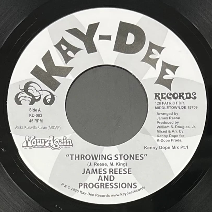 James Reese & The Progressions | Throwing Stones (Kenny Dope Mixes)