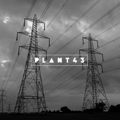 Plant43 | Grid Connection