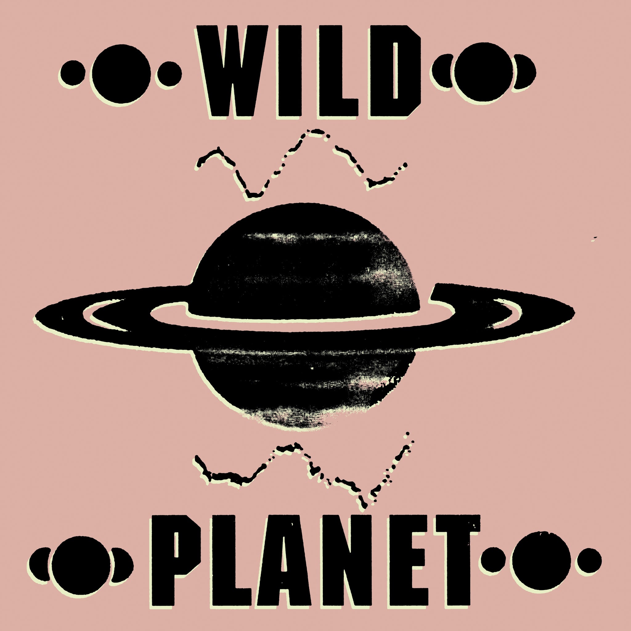 Wildplanet | Transmitter