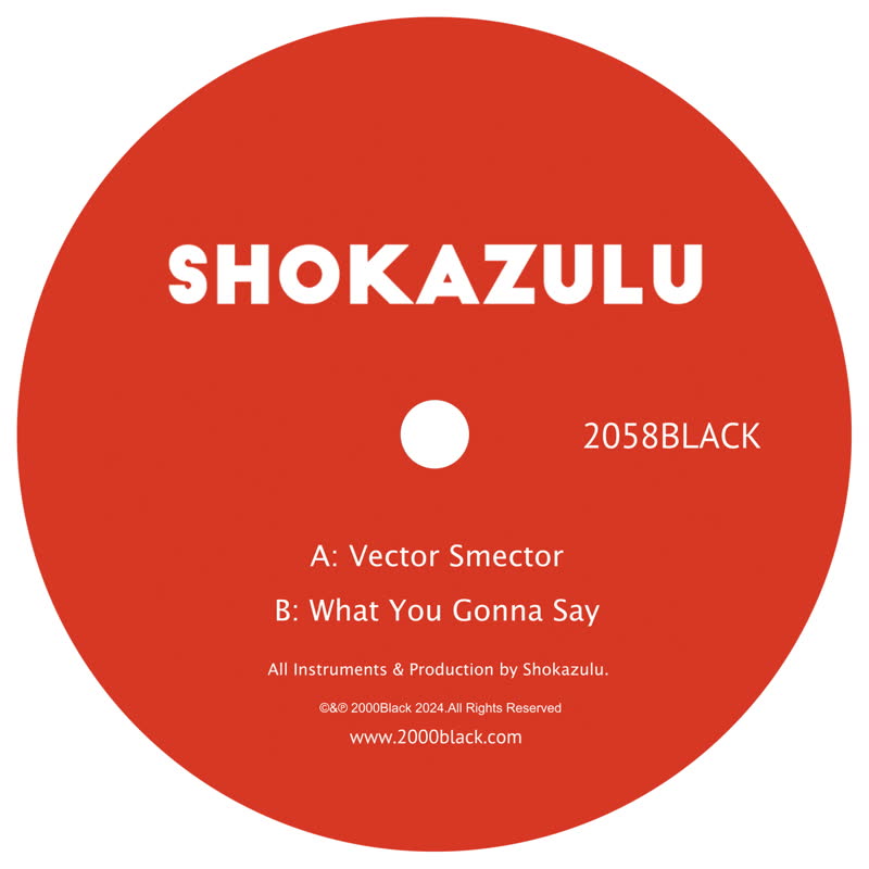 Shokazulu | Vector Smector / What You Gonna Say