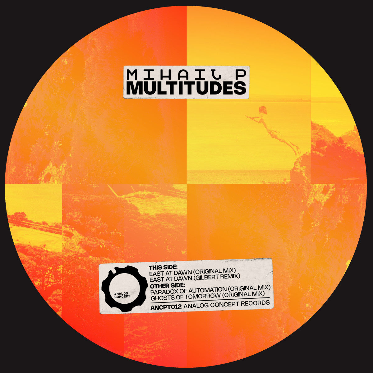 Mihail P | Multitudes