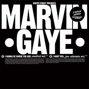 You added <b><u>Marvin Gaye | I Wanna Be Where You Are / I Want You</u></b> to your cart.