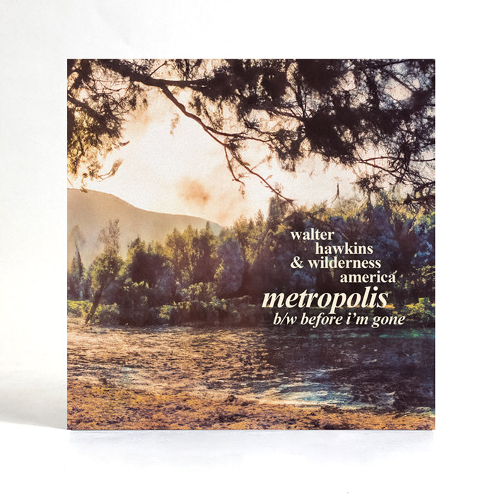 Walter Hawkins & Wilderness America | Metropolis