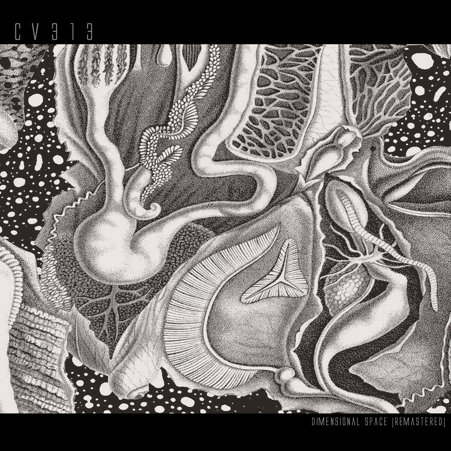 cv313 | dimensional space [remastered] - Expected Wed
