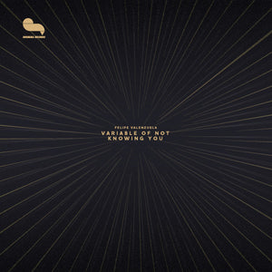 You added <b><u>Felipe Valenzuela | Variable Of Not Knowing You</u></b> to your cart.