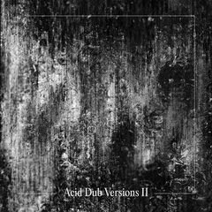 Om Unit | Acid Dub Versions II