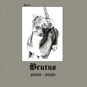 You added <b><u>Specter | Brutus</u></b> to your cart.