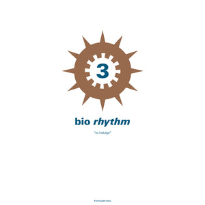 You added <b><u>Various Artists | Bio Rhythm 3 (re-indulge)</u></b> to your cart.