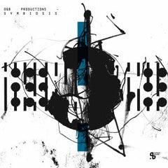 D&B Productions (Aka Delano Smith / Brawther) | Symbiosis