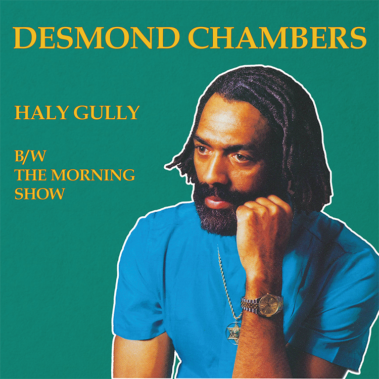 Desmond Chambers | Haly Gull