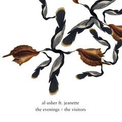 Al Usher | The Evenings / The Visitors