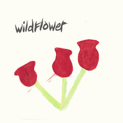 Wildflower | Better Times