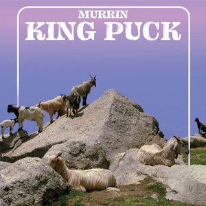 You added <b><u>Murrin | King Puck</u></b> to your cart.