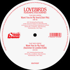 Lovebirds Featuring Stee Downes | Want You In My Soul