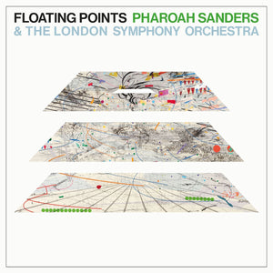 You added <b><u>Floating Points, Pharoah Sanders & The London Symphony Orchestra | Promises</u></b> to your cart.