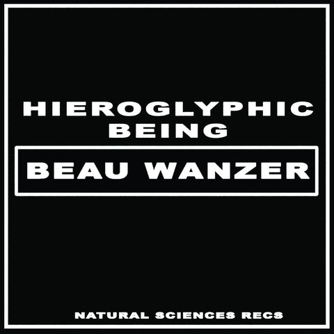 Beau Wanzer / Hieroglyphic Being | 4 Dysfunctional Psychotic Release & Sonic Reprogramming Purposes Only