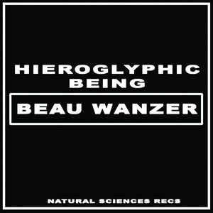 You added <b><u>Beau Wanzer / Hieroglyphic Being | 4 Dysfunctional Psychotic Release & Sonic Reprogramming Purposes Only</u></b> to your cart.