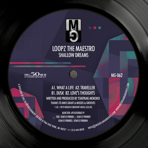 LoopZ the Maestro | Shallow Dreams