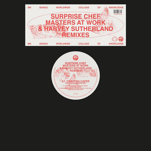 You added <b><u>Surprise Chef | MAW & Harvery Sutherland Remixes</u></b> to your cart.